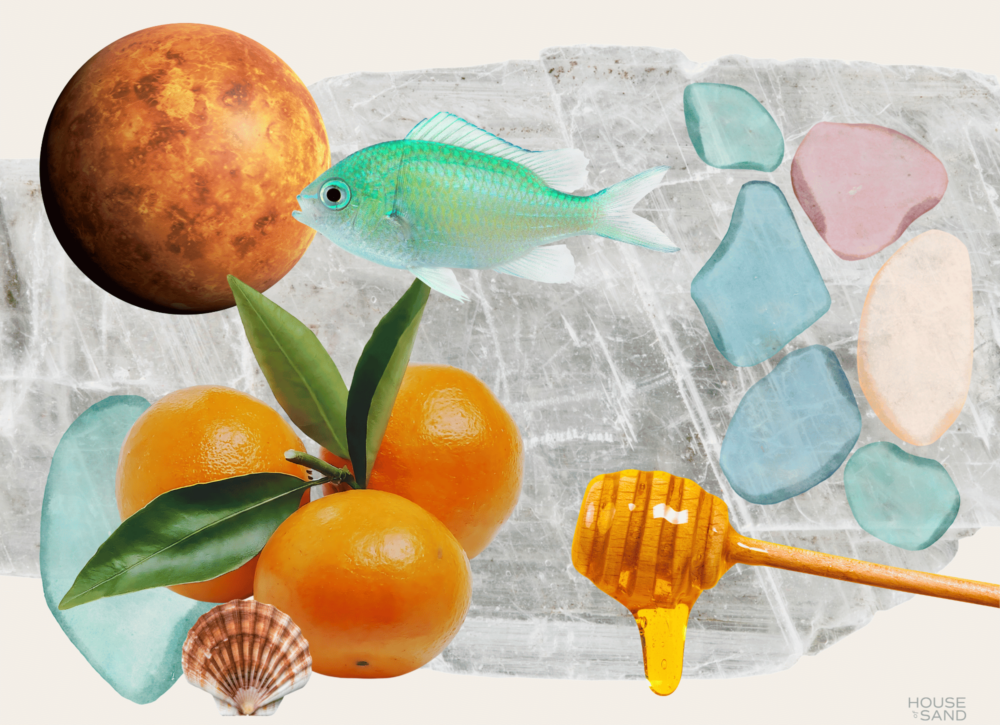 Collage of Venus, fish, honey, oranges, and sea glass. Here's how to build self-worth.